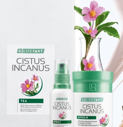 Cistus Incanus - Perla středomoří | Elershop.cz